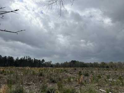 Residential Land For Sale in Defuniak Springs, Florida