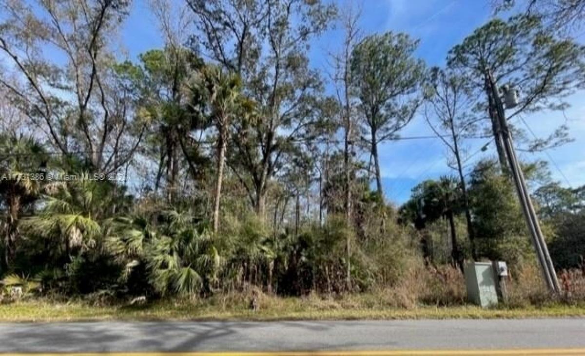 Picture of Residential Land For Sale in Homosassa Springs, Florida, United States