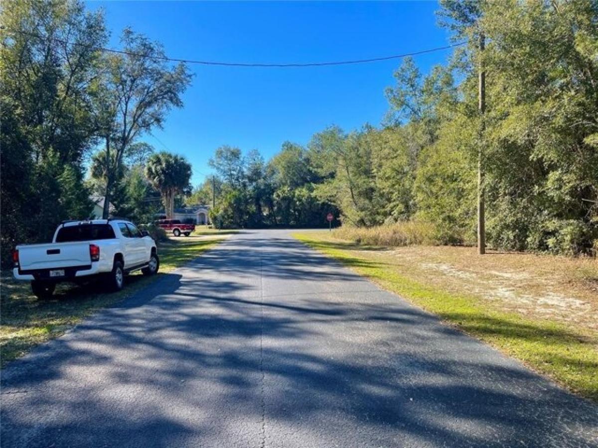 Picture of Residential Land For Sale in Silver Springs, Florida, United States