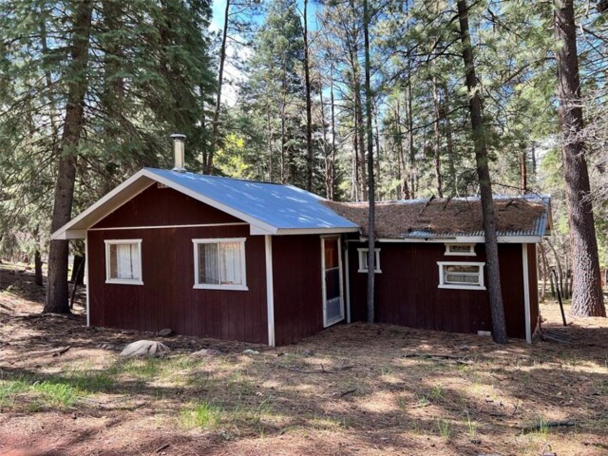 Picture of Home For Sale in Chama, New Mexico, United States