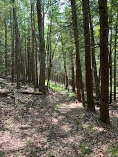 Residential Land For Sale in Campbell, New York