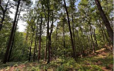 Residential Land For Sale in Talking Rock, Georgia