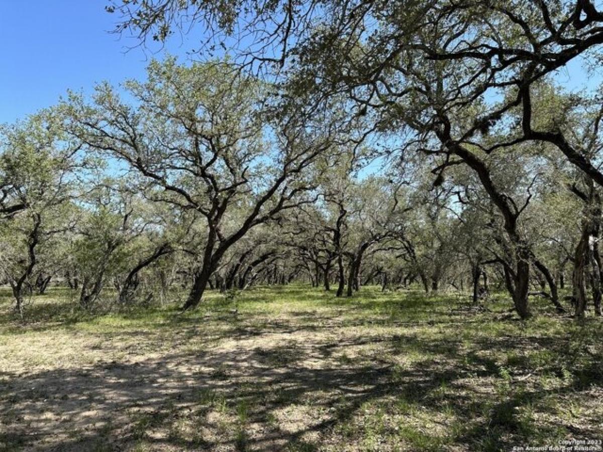 Picture of Residential Land For Sale in Poteet, Texas, United States