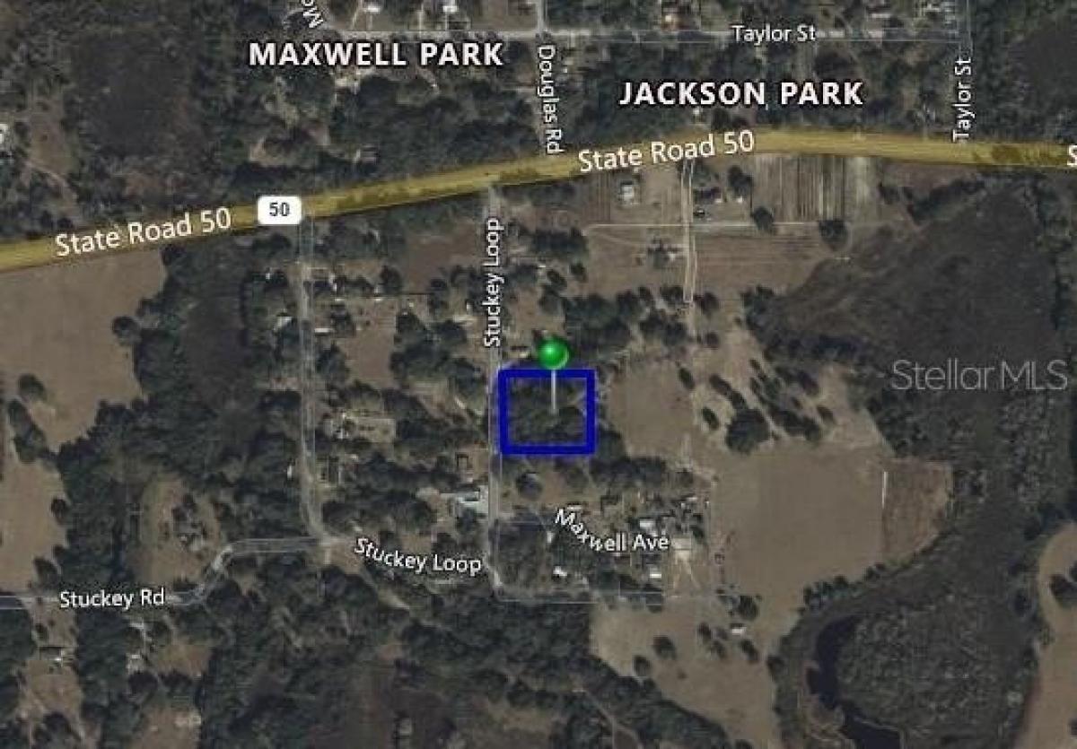 Picture of Residential Land For Sale in Groveland, Florida, United States