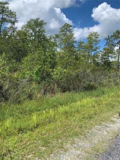 Residential Land For Sale in Saint Cloud, Florida