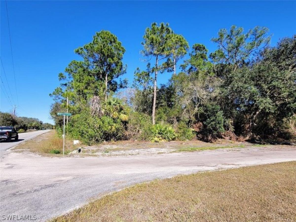 Picture of Residential Land For Sale in Clewiston, Florida, United States