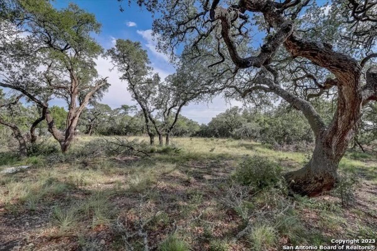 Picture of Residential Land For Sale in Bulverde, Texas, United States