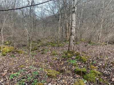 Residential Land For Sale in Bandy, Virginia