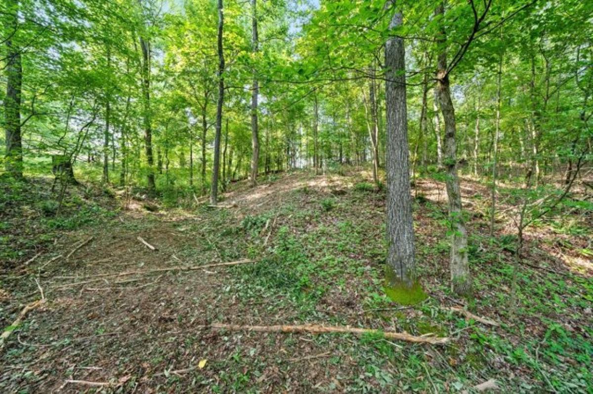 Picture of Residential Land For Sale in Cumberland City, Tennessee, United States