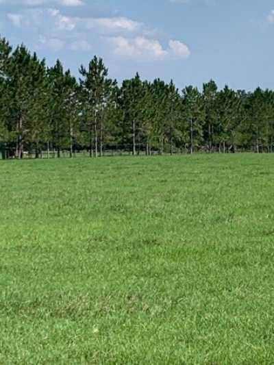 Residential Land For Sale in 