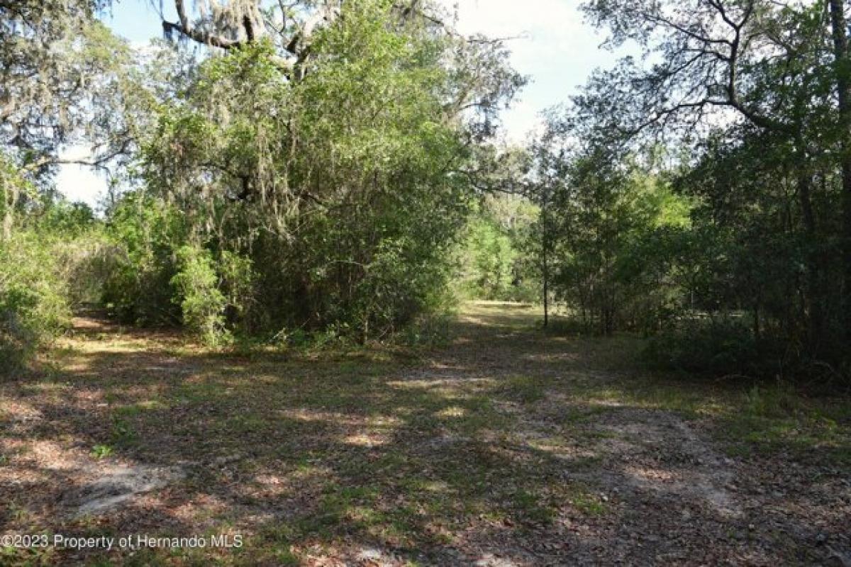 Picture of Residential Land For Sale in Webster, Florida, United States