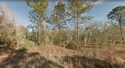 Residential Land For Sale in Williston, Florida