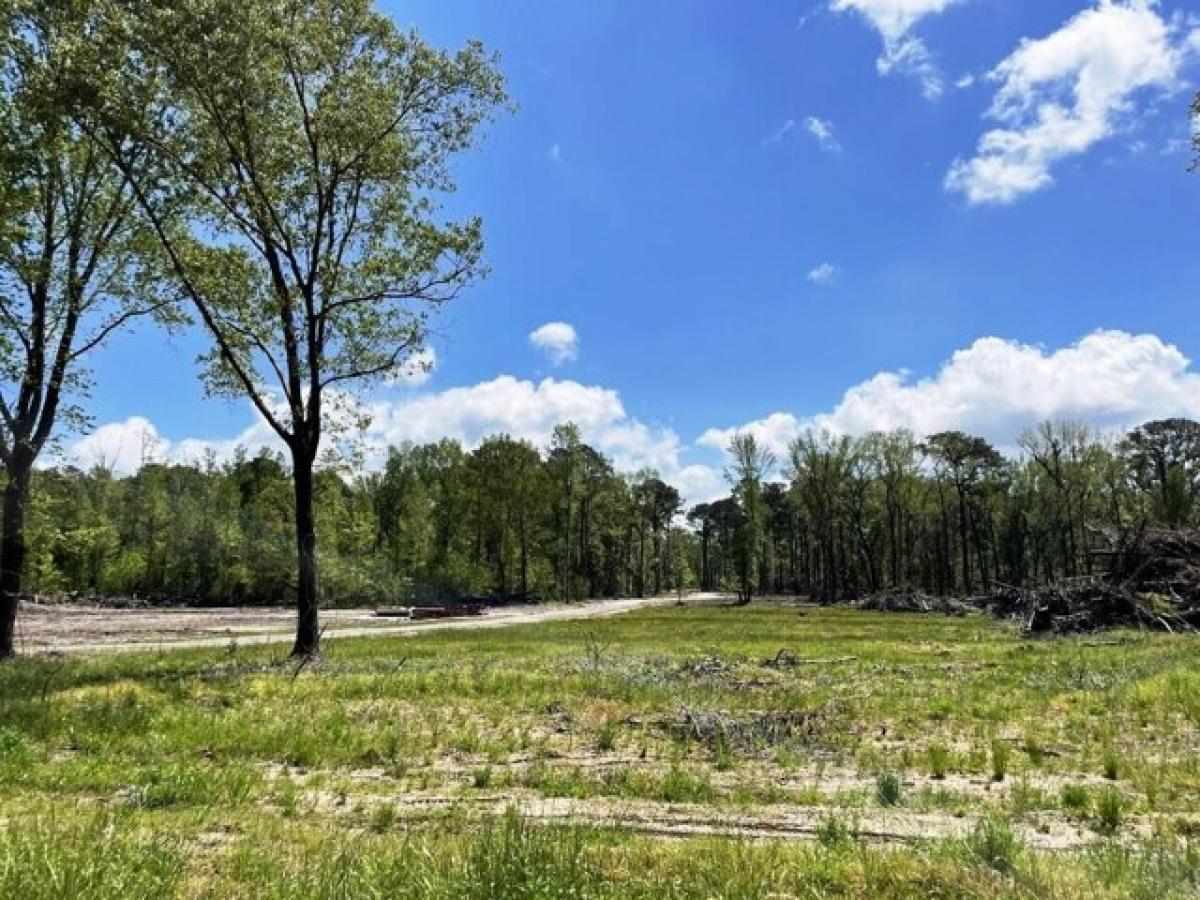 Picture of Residential Land For Sale in Hollywood, South Carolina, United States