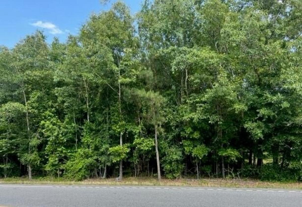 Picture of Residential Land For Sale in Barnwell, South Carolina, United States
