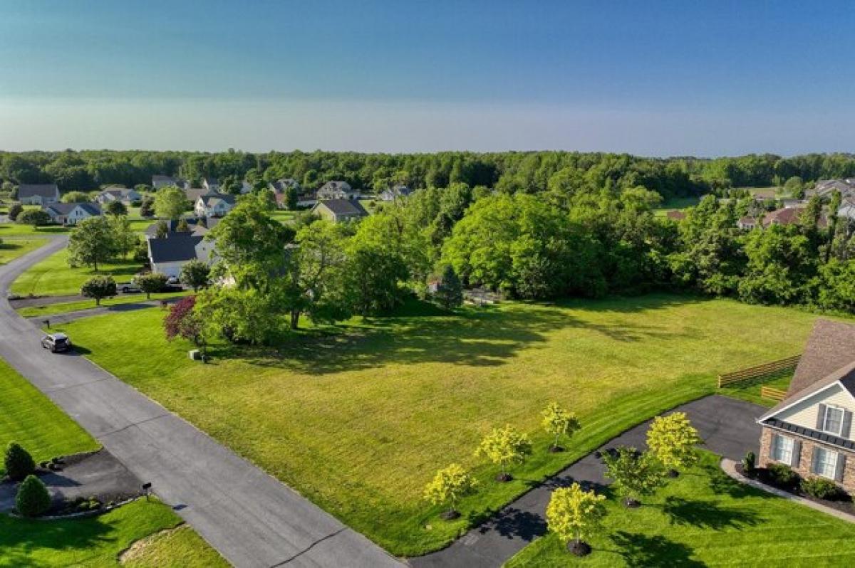 Picture of Residential Land For Sale in Milton, Delaware, United States