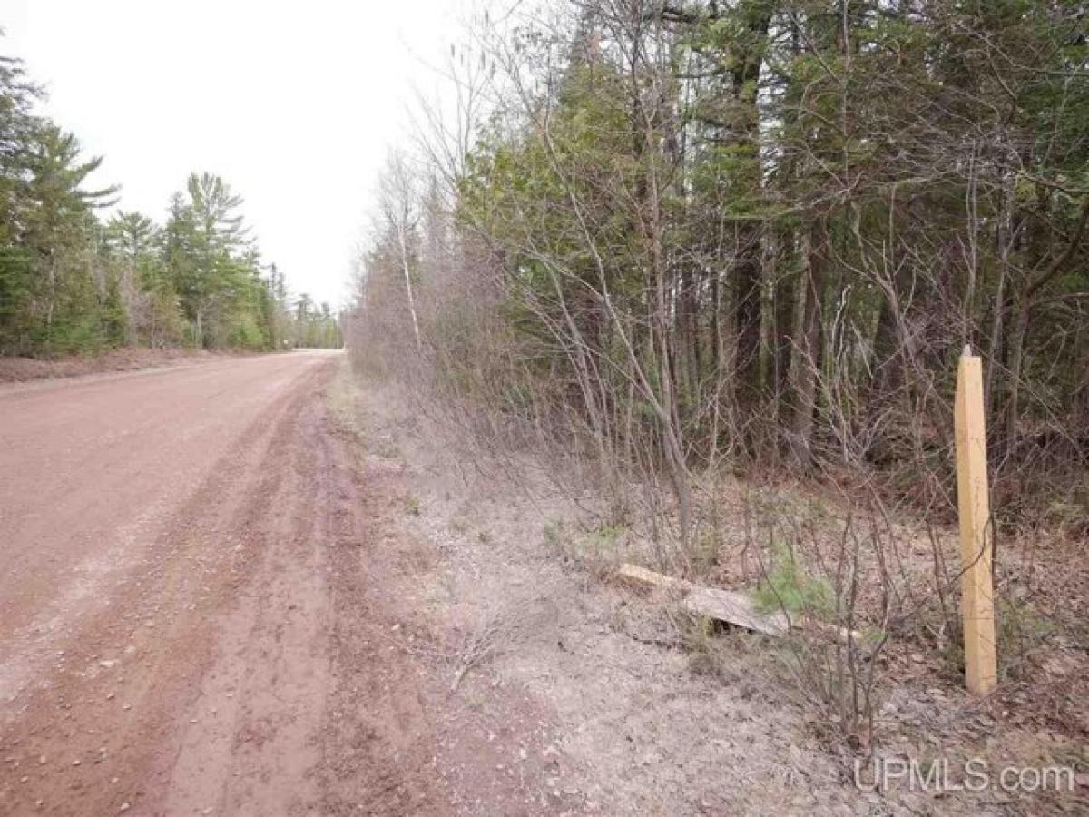 Picture of Residential Land For Sale in Lake Linden, Michigan, United States