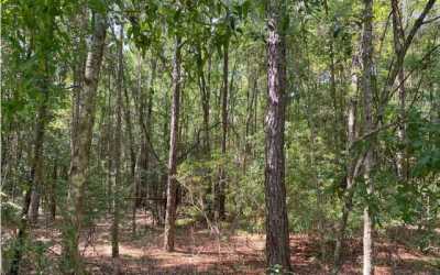 Residential Land For Sale in Live Oak, Florida