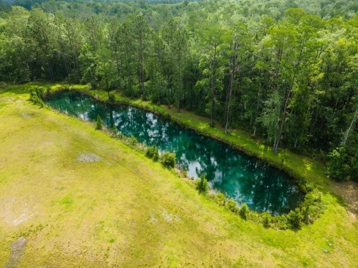 Picture of Residential Land For Sale in Ray City, Georgia, United States