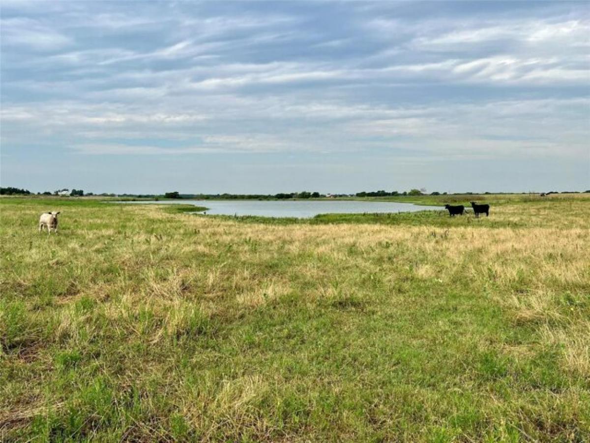 Picture of Residential Land For Sale in Ennis, Texas, United States
