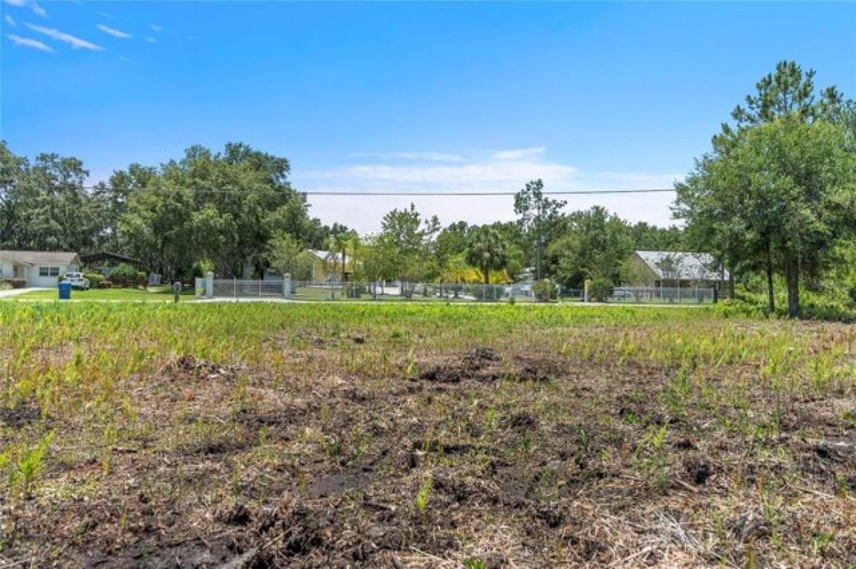 Picture of Residential Land For Sale in Wesley Chapel, Florida, United States