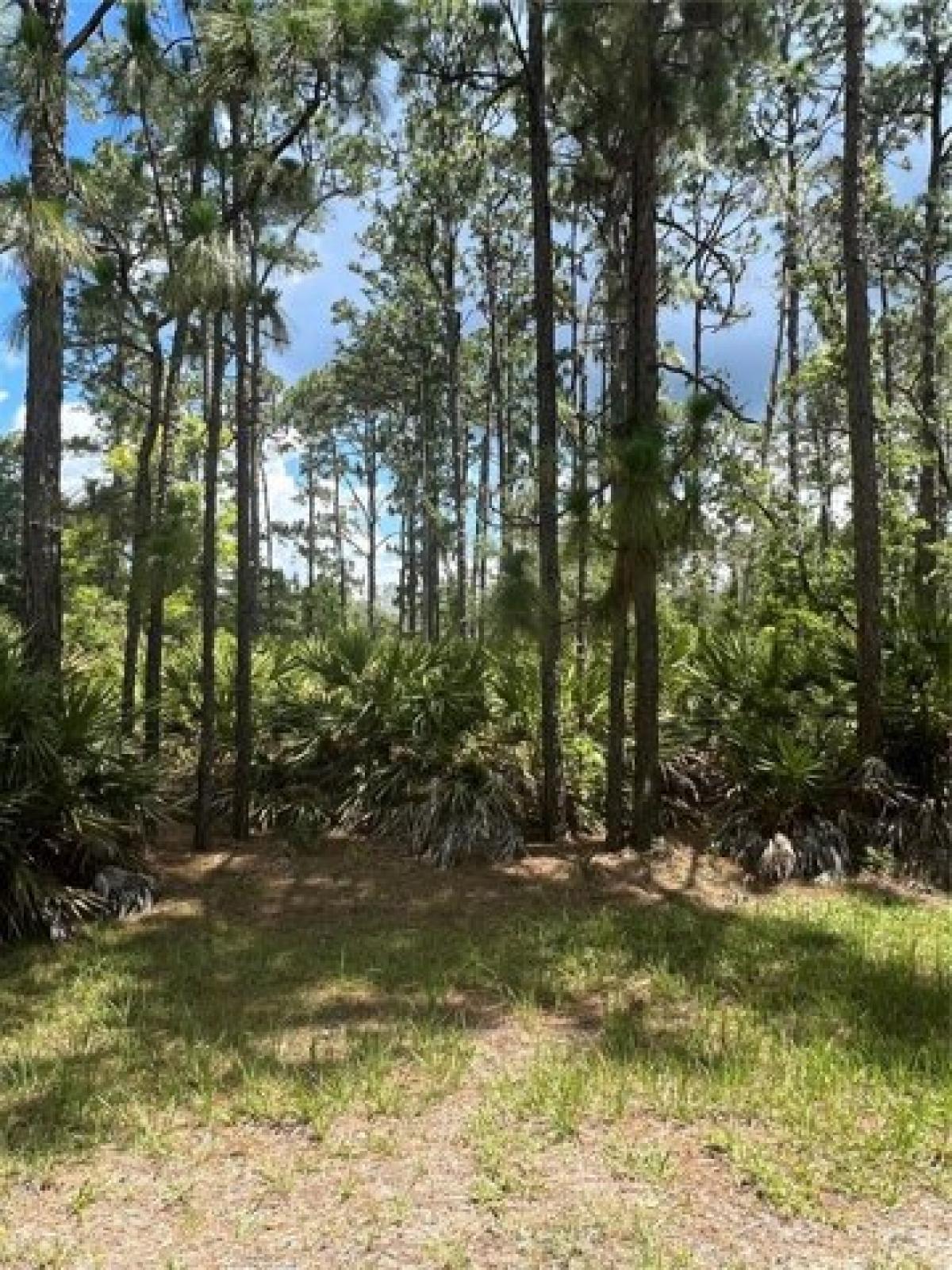 Picture of Residential Land For Sale in Indian Lake Estates, Florida, United States