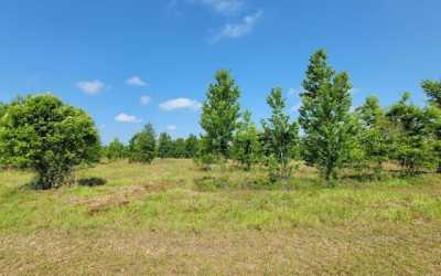 Residential Land For Sale in Branford, Florida