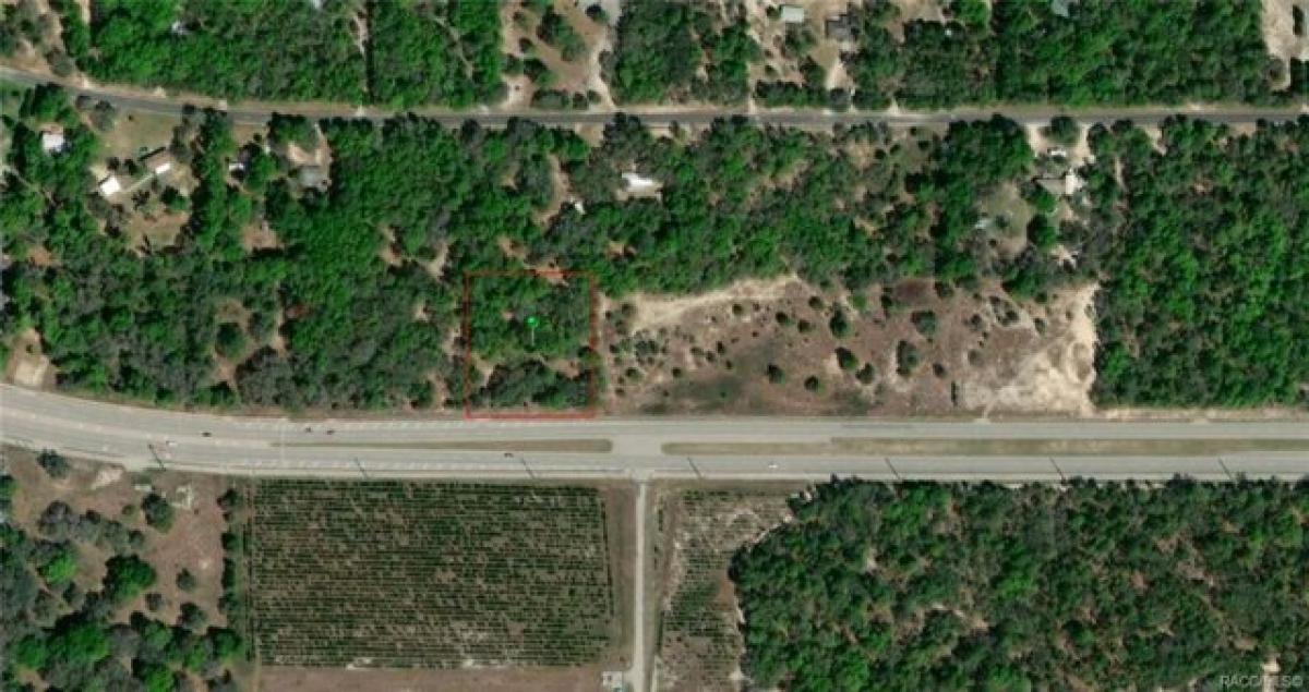 Picture of Residential Land For Sale in Hernando, Florida, United States