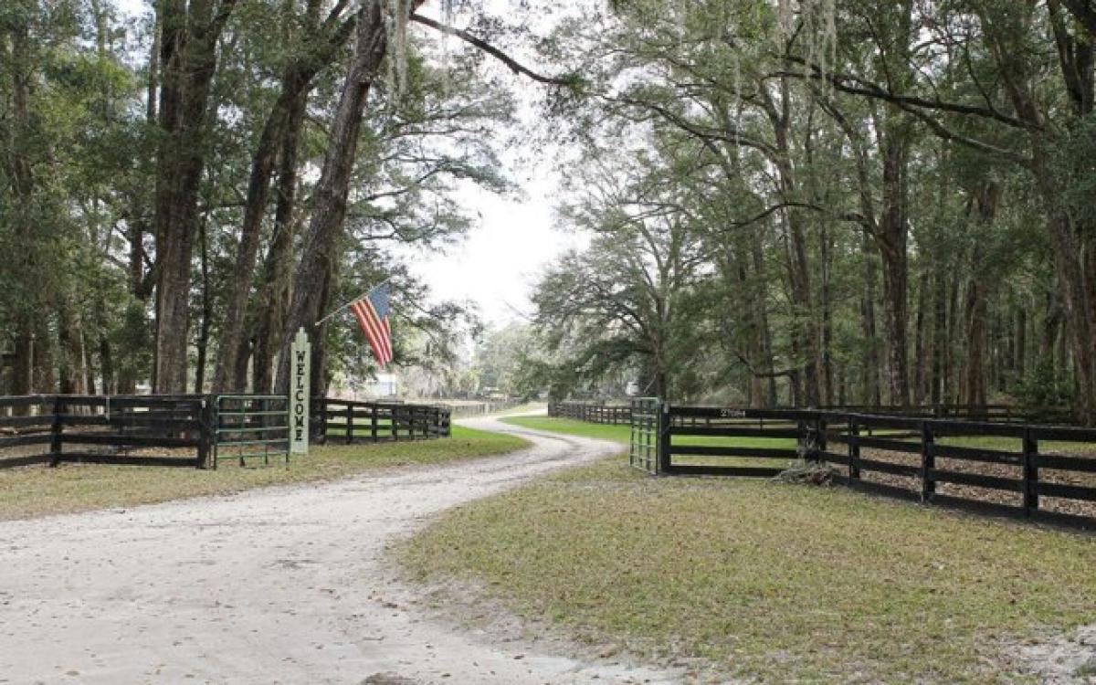 Picture of Residential Land For Sale in Branford, Florida, United States