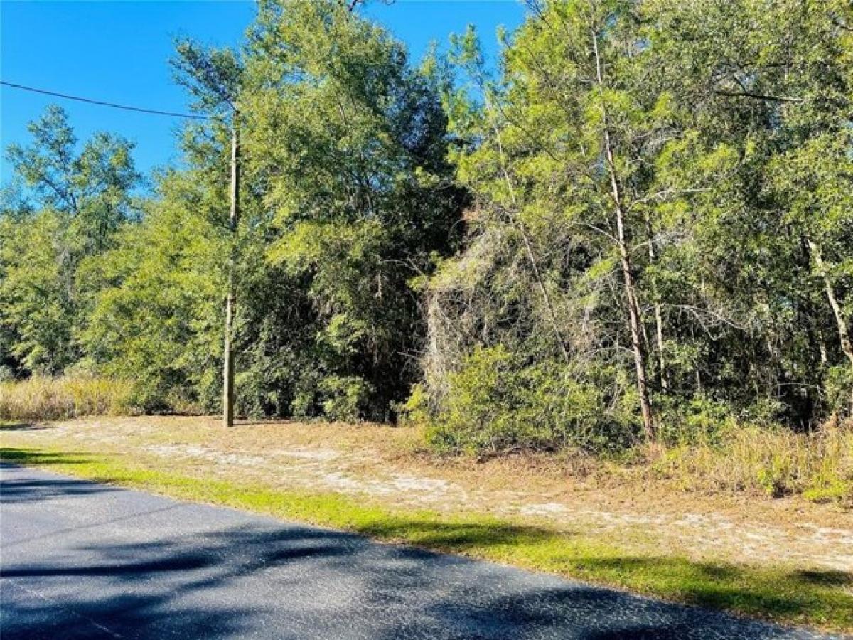 Picture of Residential Land For Sale in Silver Springs, Florida, United States