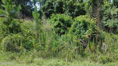 Residential Land For Sale in Georgetown, Florida