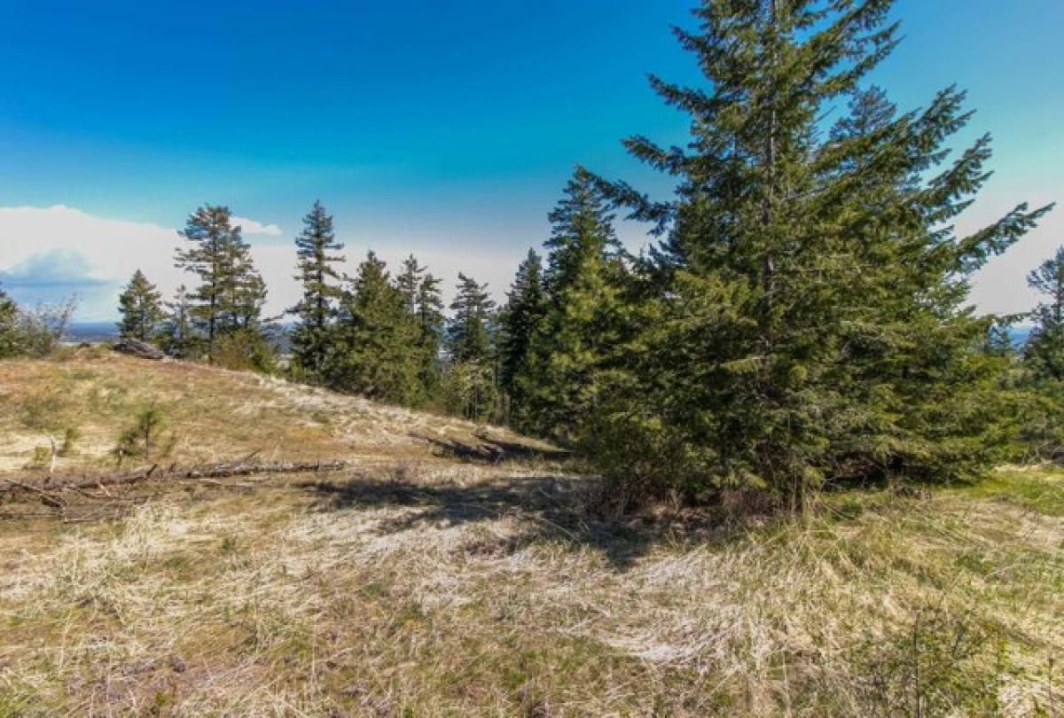 Picture of Residential Land For Sale in Colbert, Washington, United States