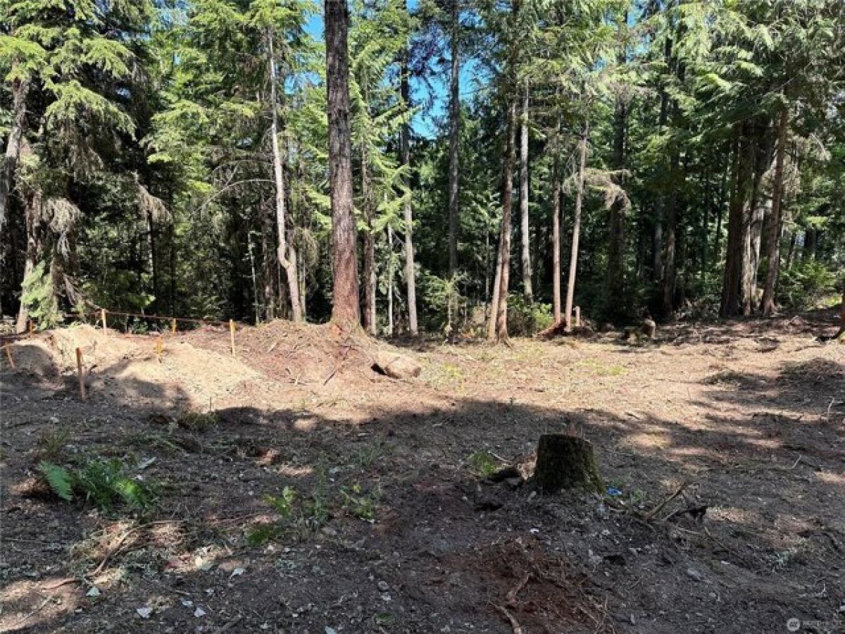 Picture of Residential Land For Sale in Bremerton, Washington, United States