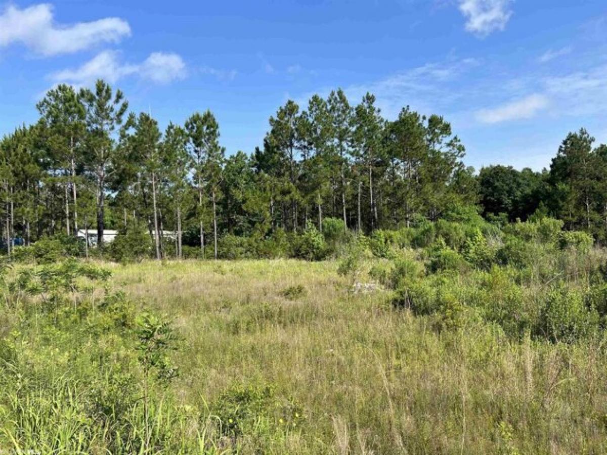 Picture of Residential Land For Sale in Gulf Shores, Alabama, United States