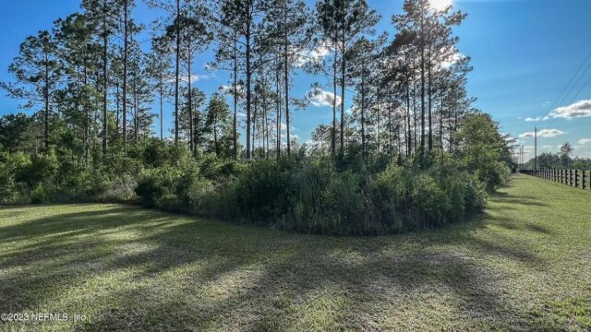 Picture of Residential Land For Sale in Callahan, Florida, United States