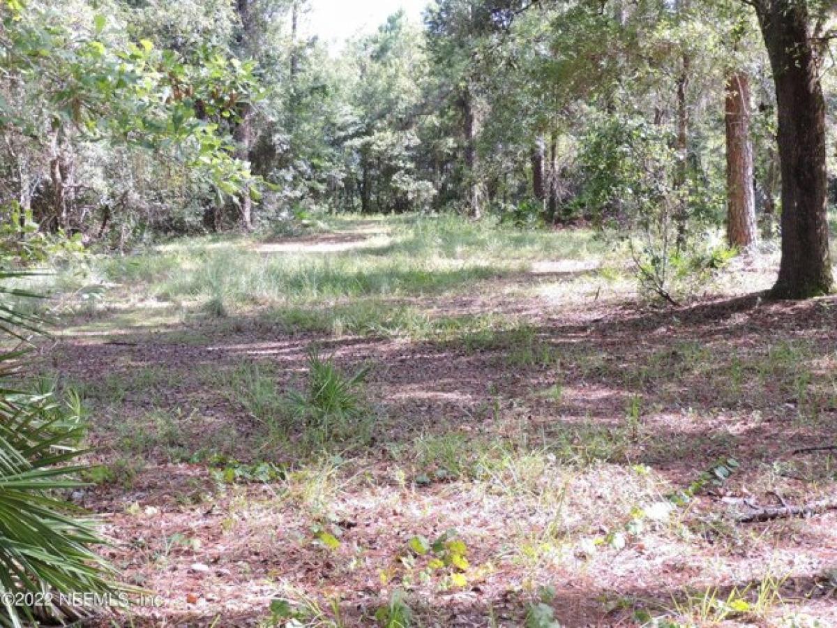 Picture of Residential Land For Sale in Green Cove Springs, Florida, United States