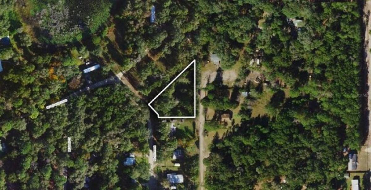 Picture of Residential Land For Sale in Silver Springs, Florida, United States