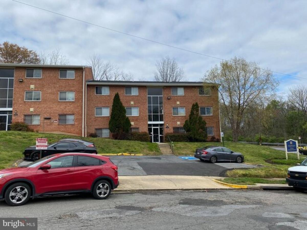 Picture of Apartment For Rent in Hyattsville, Maryland, United States