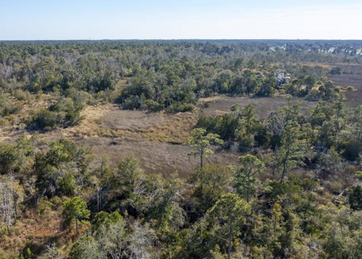 Picture of Residential Land For Sale in Saint Simons Island, Georgia, United States