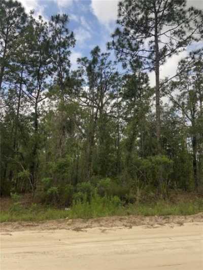 Residential Land For Sale in Williston, Florida