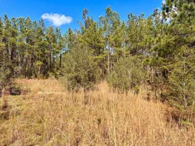 Residential Land For Sale in Pace, Florida