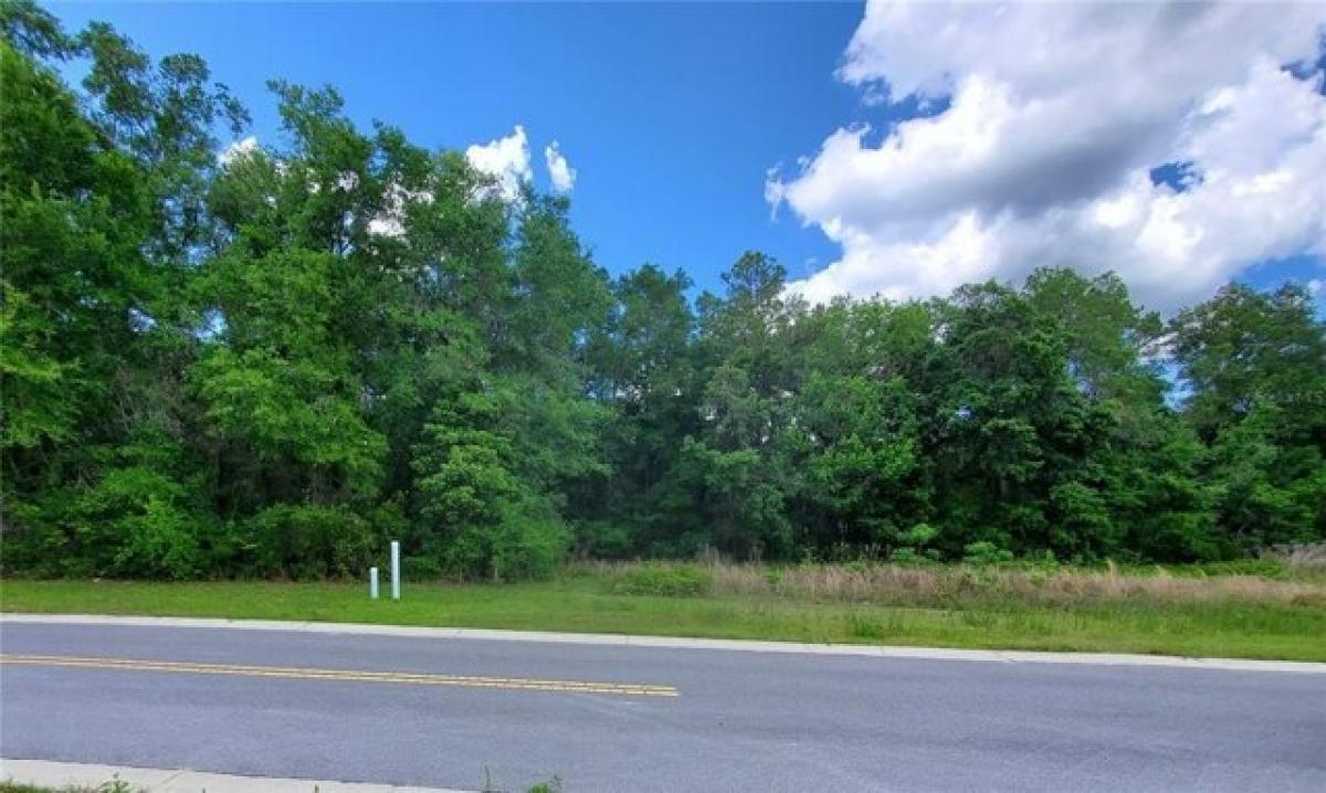 Picture of Residential Land For Sale in Silver Springs, Florida, United States