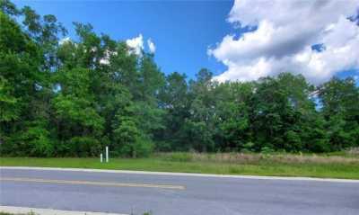 Residential Land For Sale in Silver Springs, Florida