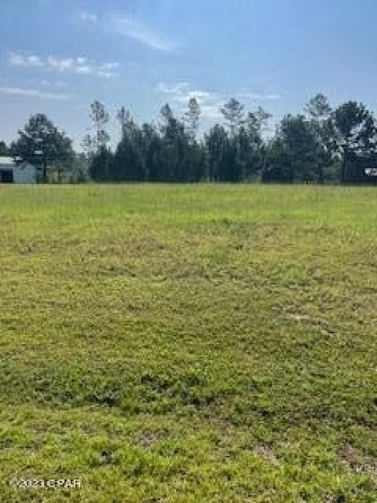 Picture of Residential Land For Sale in Chipley, Florida, United States