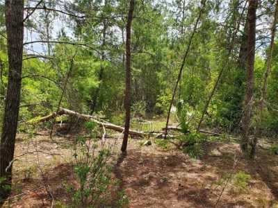 Residential Land For Sale in Silver Springs, Florida