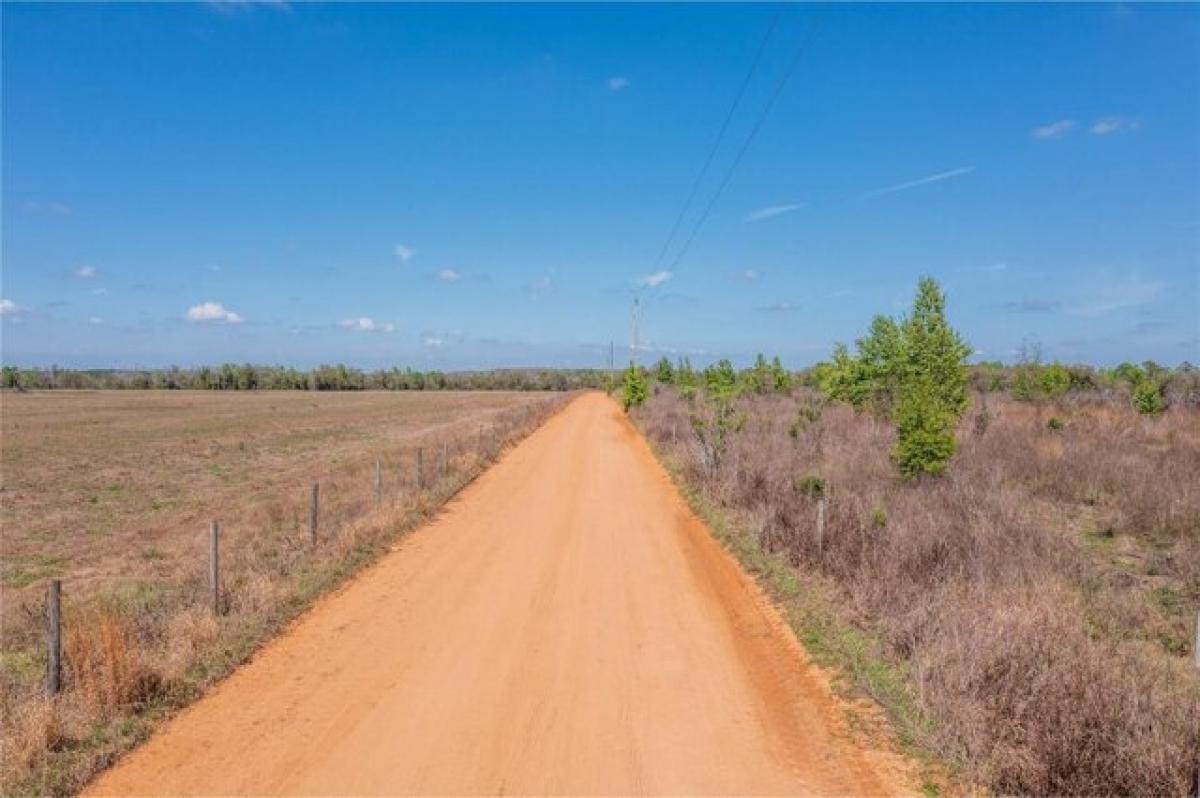 Picture of Residential Land For Sale in Groveland, Florida, United States