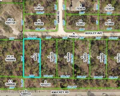 Residential Land For Sale in Weeki Wachee, Florida