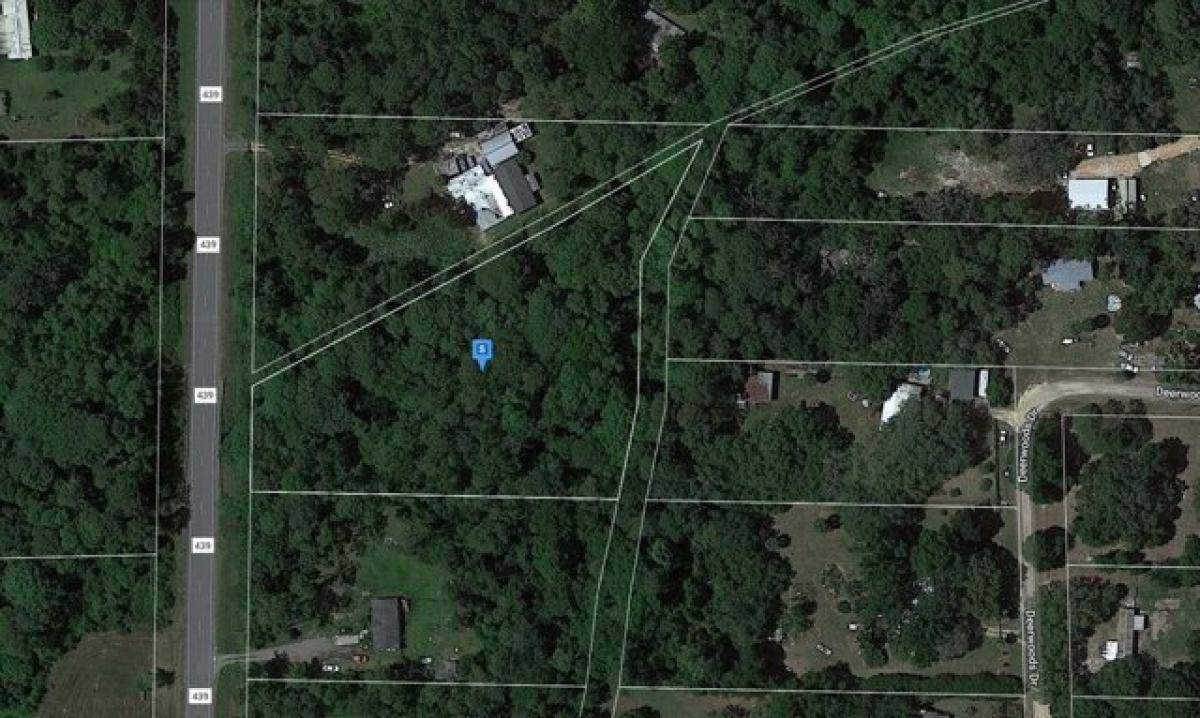 Picture of Residential Land For Sale in Eustis, Florida, United States