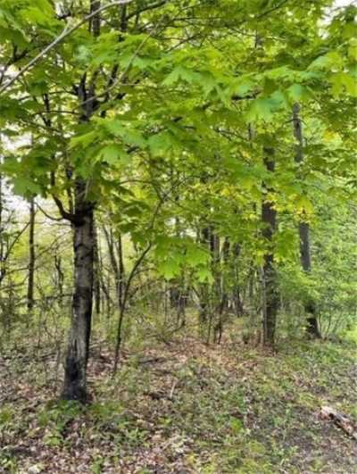 Residential Land For Sale in Oronoco, Minnesota