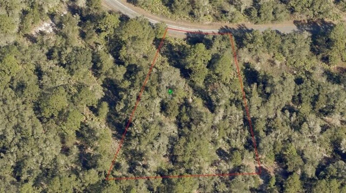 Picture of Residential Land For Sale in Crystal River, Florida, United States