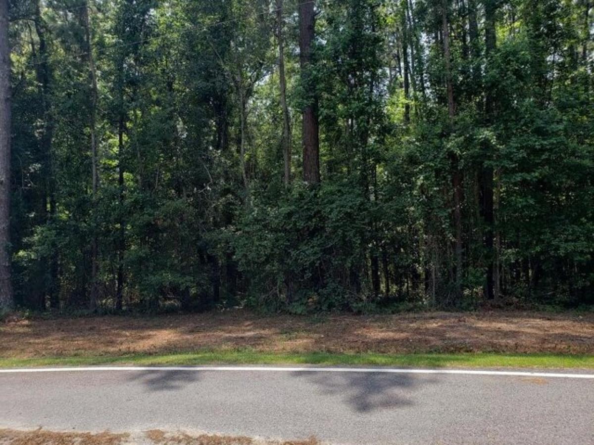 Picture of Residential Land For Sale in Glennville, Georgia, United States